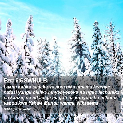 Ezra 9:5 SWHULB Bible Verse Image