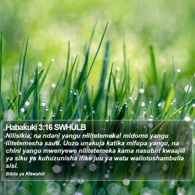 Habakuki 3:16 SWHULB Bible Verse Image
