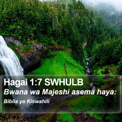 Hagai 1:7 SWHULB Bible Verse Image