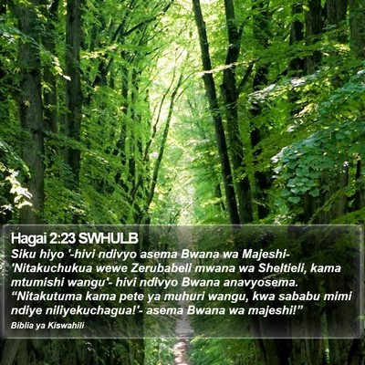 Hagai 2:23 SWHULB Bible Verse Image