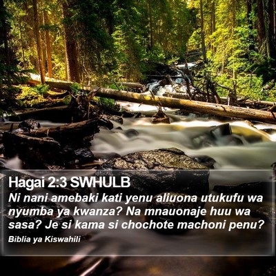 Hagai 2:3 SWHULB Bible Verse Image