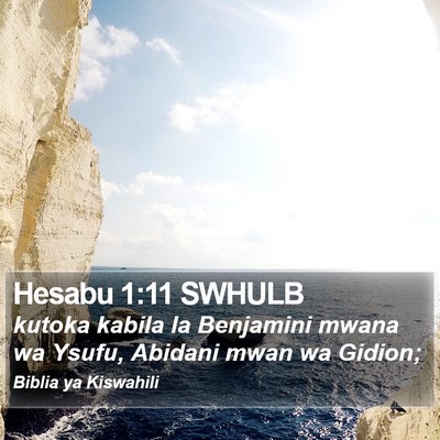 Hesabu 1:11 SWHULB Bible Verse Image