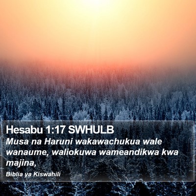 Hesabu 1:17 SWHULB Bible Verse Image