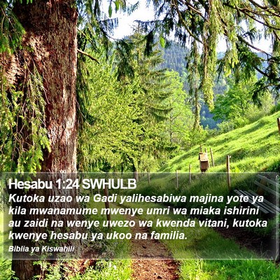 Hesabu 1:24 SWHULB Bible Verse Image