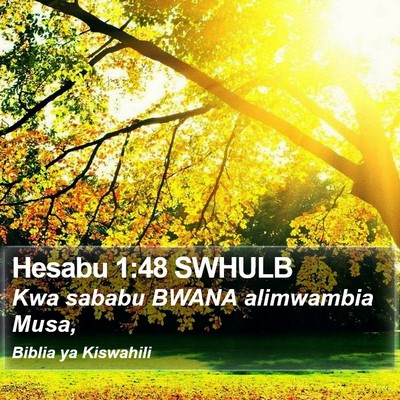 Hesabu 1:48 SWHULB Bible Verse Image