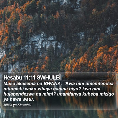 Hesabu 11:11 SWHULB Bible Verse Image