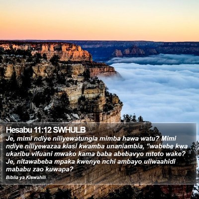 Hesabu 11:12 SWHULB Bible Verse Image