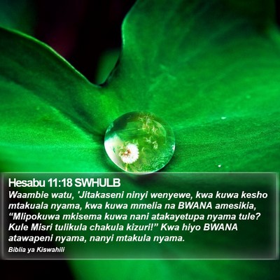 Hesabu 11:18 SWHULB Bible Verse Image