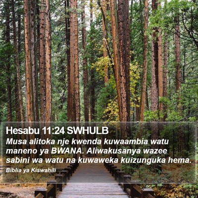 Hesabu 11:24 SWHULB Bible Verse Image