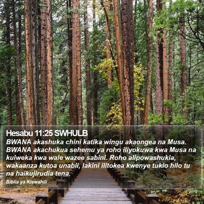 Hesabu 11:25 SWHULB Bible Verse Image