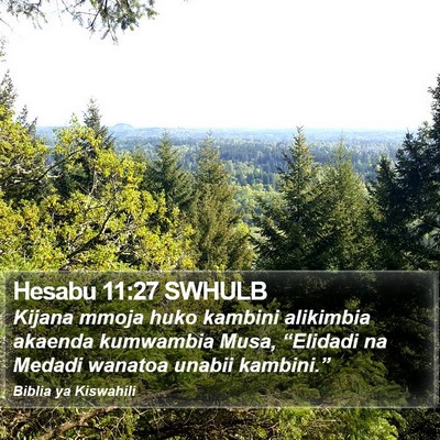 Hesabu 11:27 SWHULB Bible Verse Image