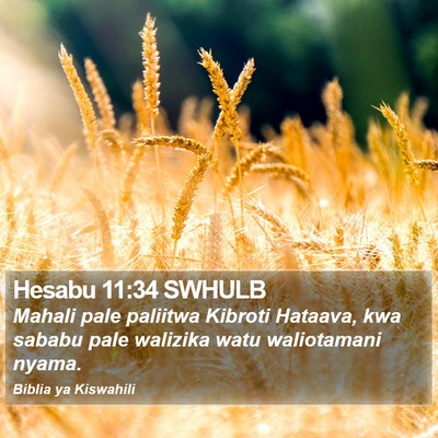 Hesabu 11:34 SWHULB Bible Verse Image