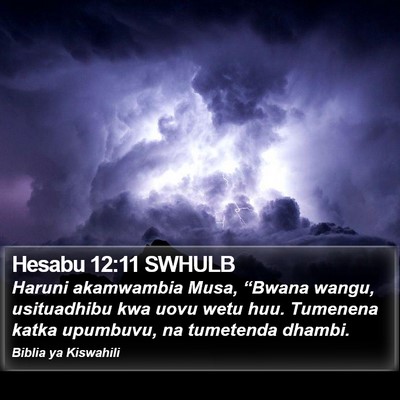 Hesabu 12:11 SWHULB Bible Verse Image