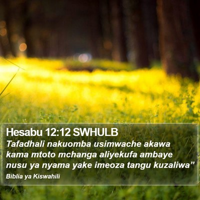 Hesabu 12:12 SWHULB Bible Verse Image