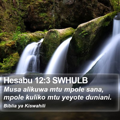 Hesabu 12:3 SWHULB Bible Verse Image