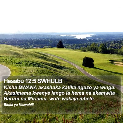 Hesabu 12:5 SWHULB Bible Verse Image