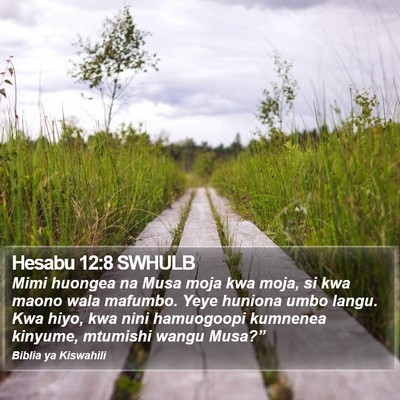 Hesabu 12:8 SWHULB Bible Verse Image