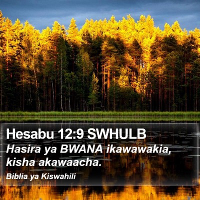 Hesabu 12:9 SWHULB Bible Verse Image