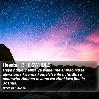 Hesabu 13:16 SWHULB Bible Verse Image