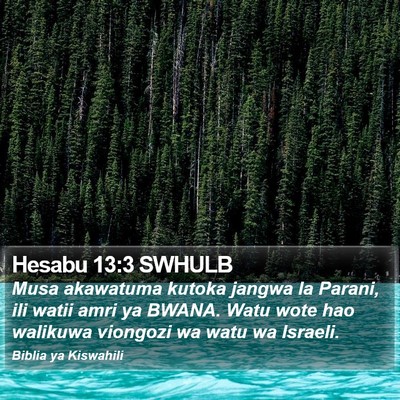 Hesabu 13:3 SWHULB Bible Verse Image