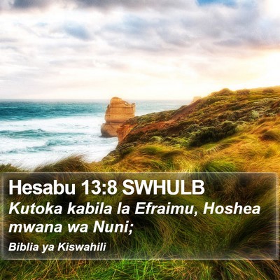Hesabu 13:8 SWHULB Bible Verse Image