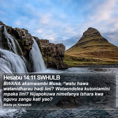 Hesabu 14:11 SWHULB Bible Verse Image
