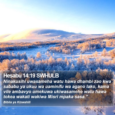 Hesabu 14:19 SWHULB Bible Verse Image