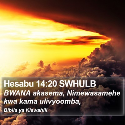Hesabu 14:20 SWHULB Bible Verse Image