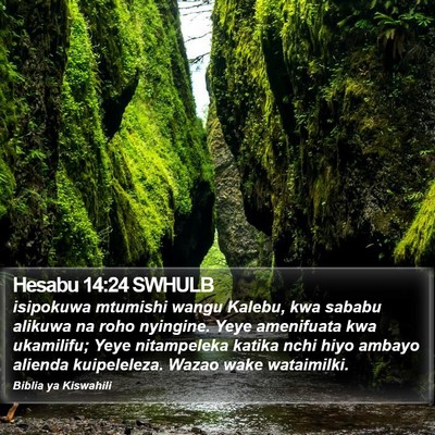 Hesabu 14:24 SWHULB Bible Verse Image