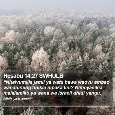 Hesabu 14:27 SWHULB Bible Verse Image