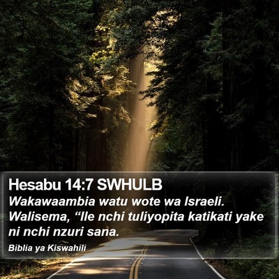 Hesabu 14:7 SWHULB Bible Verse Image