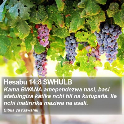 Hesabu 14:8 SWHULB Bible Verse Image