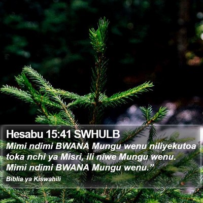 Hesabu 15:41 SWHULB Bible Verse Image