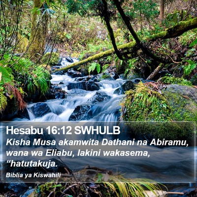 Hesabu 16:12 SWHULB Bible Verse Image