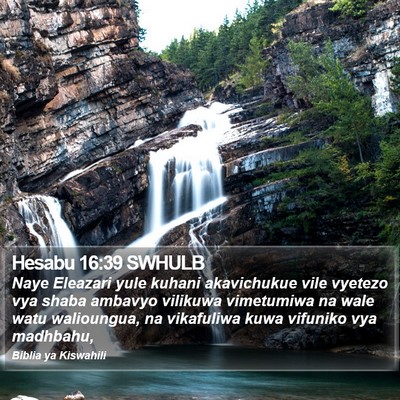 Hesabu 16:39 SWHULB Bible Verse Image