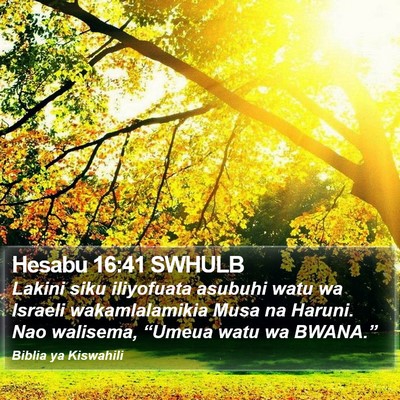 Hesabu 16:41 SWHULB Bible Verse Image