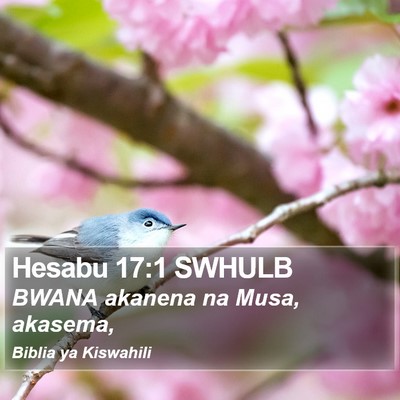 Hesabu 17:1 SWHULB Bible Verse Image