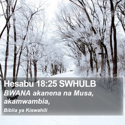 Hesabu 18:25 SWHULB Bible Verse Image
