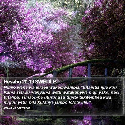 Hesabu 20:19 SWHULB Bible Verse Image