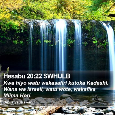 Hesabu 20:22 SWHULB Bible Verse Image