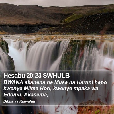 Hesabu 20:23 SWHULB Bible Verse Image