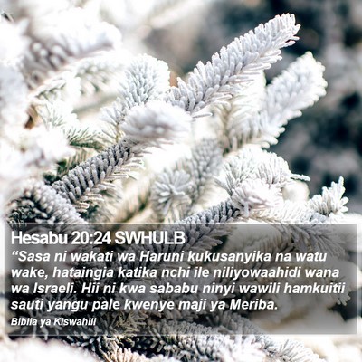 Hesabu 20:24 SWHULB Bible Verse Image
