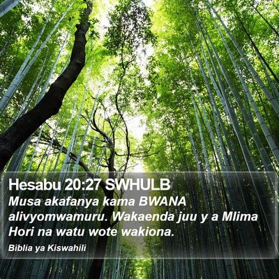 Hesabu 20:27 SWHULB Bible Verse Image