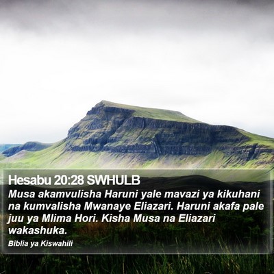 Hesabu 20:28 SWHULB Bible Verse Image