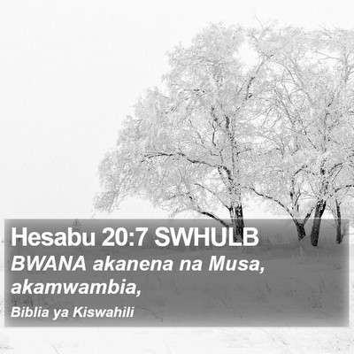 Hesabu 20:7 SWHULB Bible Verse Image