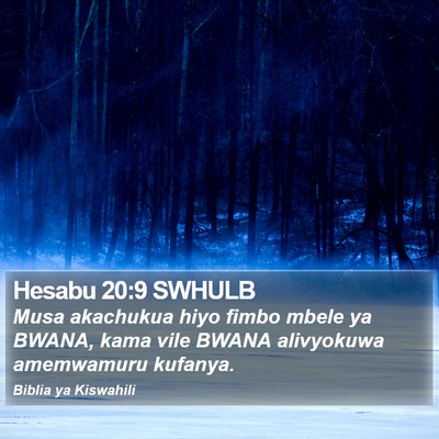 Hesabu 20:9 SWHULB Bible Verse Image