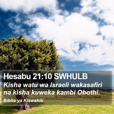 Hesabu 21:10 SWHULB Bible Verse Image