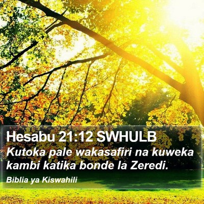 Hesabu 21:12 SWHULB Bible Verse Image
