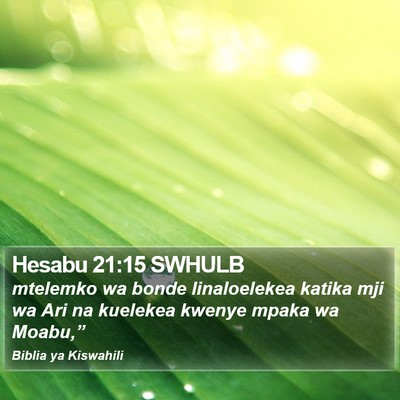 Hesabu 21:15 SWHULB Bible Verse Image