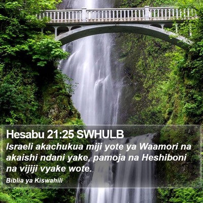 Hesabu 21:25 SWHULB Bible Verse Image